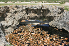 "The Hot Springs"
