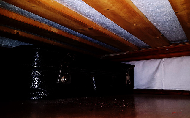 Katzen-Perspektive unter dem Bett