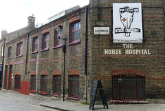 IMG 8389-001-Horse Hospital