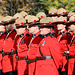 Remembrance Day -  London, ON