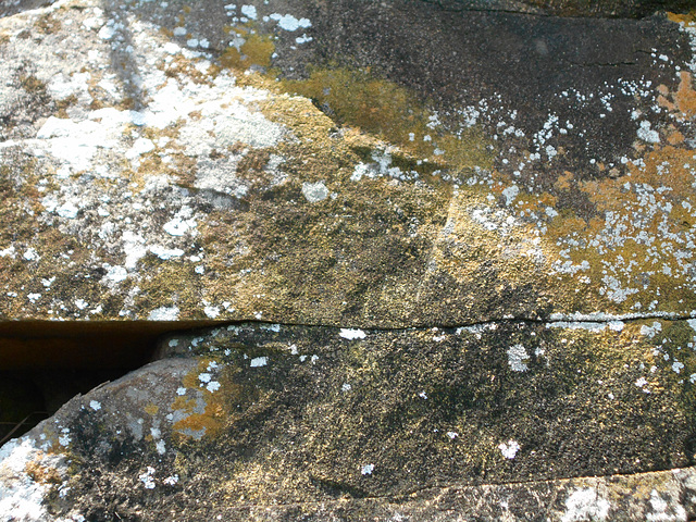DSCN1982 - Pedra Preta do Norte gravura