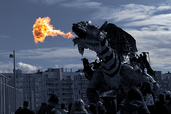The Dragon of Calais