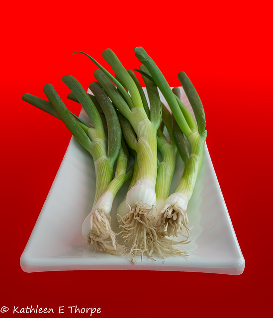 Scallions on Red 071216