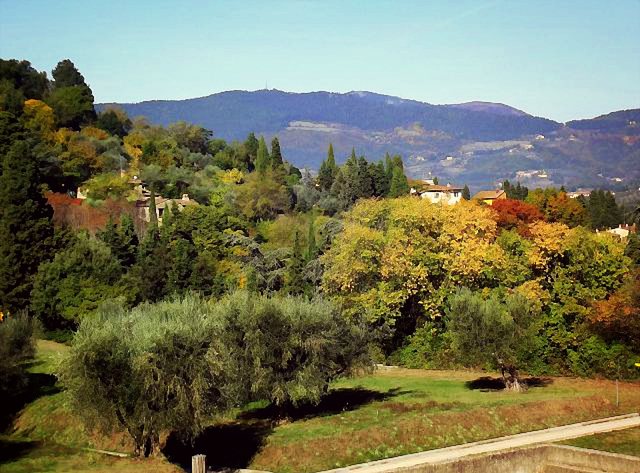 Fiesole landscape