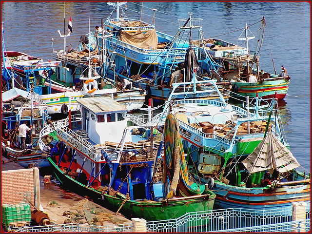 Port Said : le barche dei pescatori a Port Fouad sorvegliate dai militari
