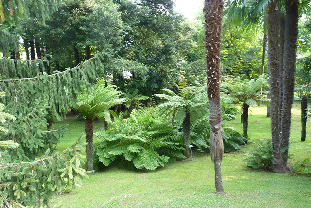 Jardín Botánico-Miles de plantas importadas de todo el Mundo