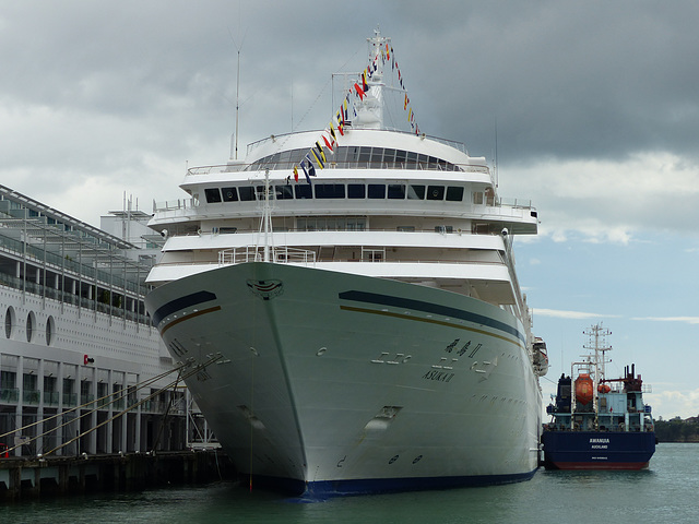 Asuka II at Auckland (5) - 20 February 2015