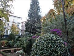 Botanical Garden of Granada University.