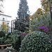 Botanical Garden of Granada University.