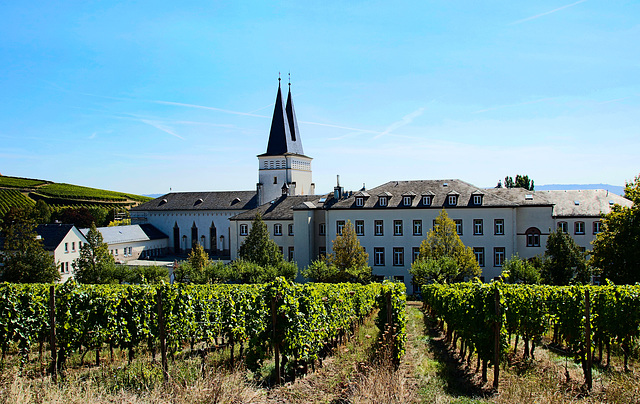 Neues Kloster Johannisberg/Rheingau