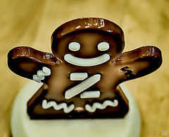 Gingerbread Man beautiful