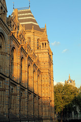 Natural History Museum, East Wing