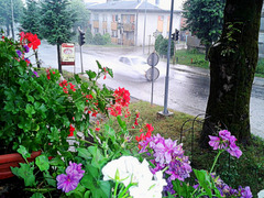 Summer downpour