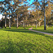 Afternoon in the Park 20220813 16 44 48 Pro