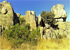 Typical late summer scenery in the Sierra de La Cabrera