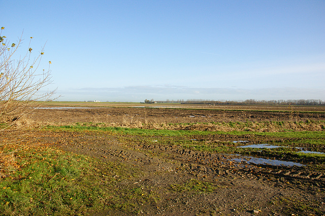 Munnikkenland polder