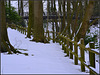 HFF,for everyone,,friday 11-2-2022--forest fence and bridge