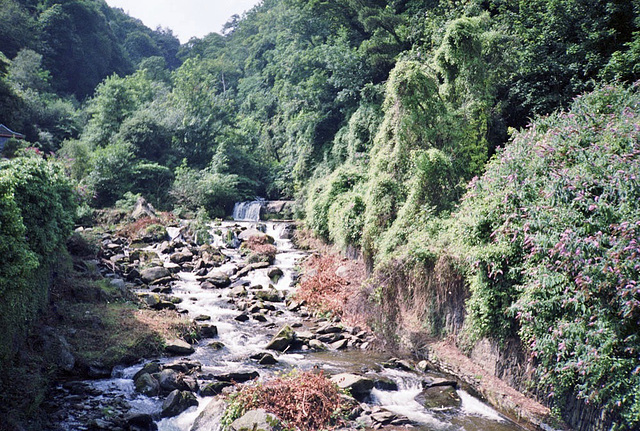East Lyn River near Lynmouth (Scan from July 1991)