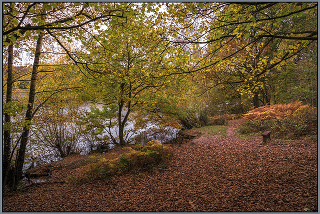 Linacre middle dam - Chesterfield - Derbyshire UK.