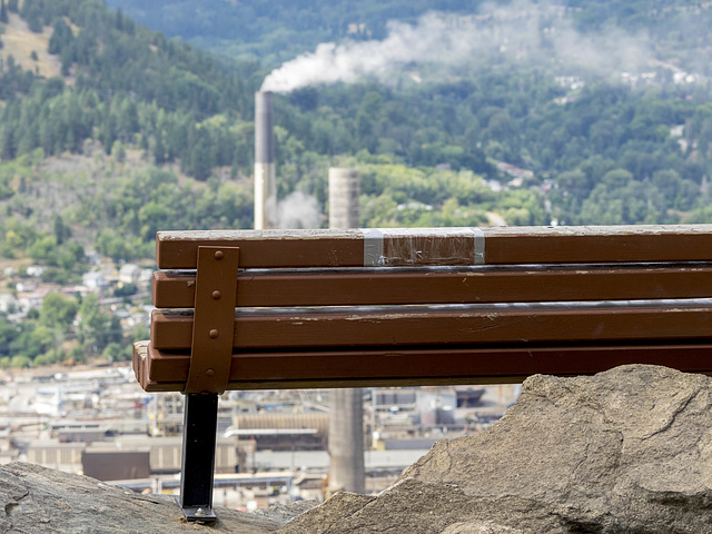Bench With a View