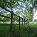 HFF ~~~ A mesh of fencing