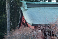Blue roof of the gate