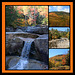 Scenes from New Hampshire (Explored)