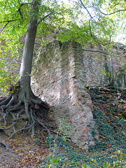 Mauerreste am Auerbacher Schloß