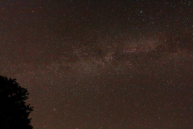 Milkyway and M31