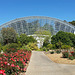 Tropical conservatory Adelaide