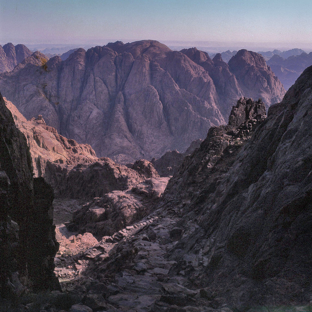 Mount Sinai  15 May 1981