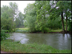 summer rain on the river
