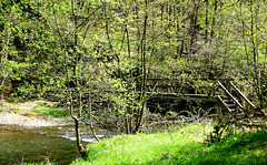 DE - Manderscheid - Lieser creek