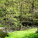 DE - Manderscheid - Lieser creek