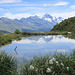Paysage de montagne avec linaigrettes, vers Chemeuille, Valais (Suisse)