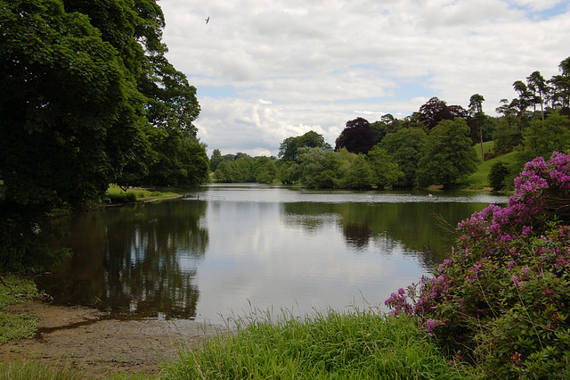 The Lake  Osmaston Manor Estate, Derbyshire