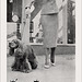 Dog-E-Stu Dog Food Ad, 1956