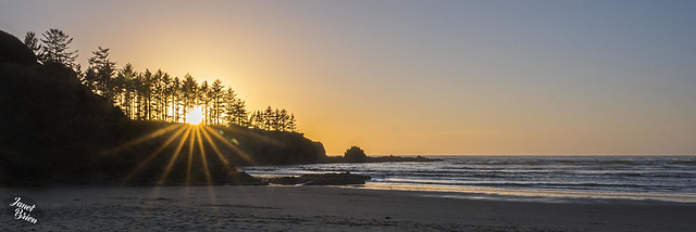 Pictures for Pam, Day 210: Coo's Bay Sunset Through Tees in a Double Dedication with Marie-claire Gallet