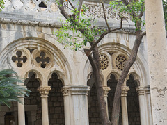 Dubrovnik, monastère des dominicains, 10.