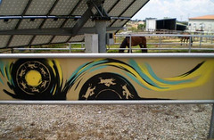Graffiti in equestrian centre.