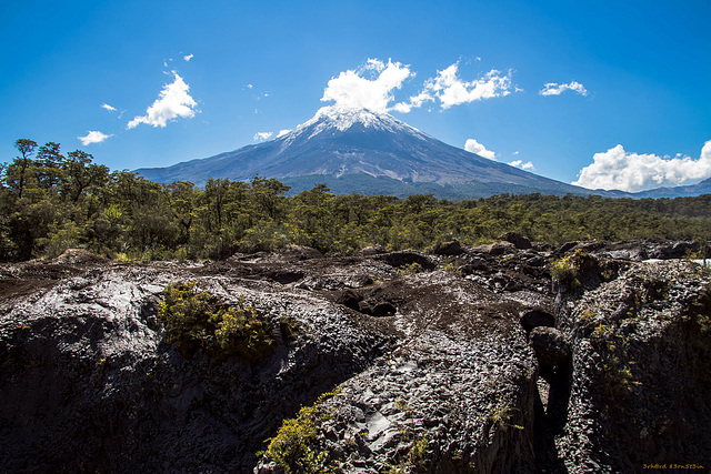 Vulkan Osorno vom Fluß Petrohue aus I