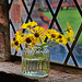 Kloster Rehna, Blumen am Fenster (1)