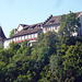 Südliches Ufer mit Schloss Laufen am Rheinfall