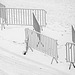 Fences in Snow