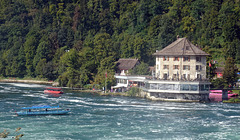 Der Rhein unterhalb vom Rheinfall