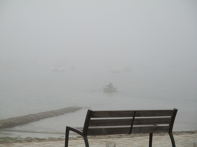 Ce matin brouillard.