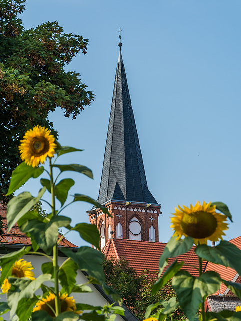 Blick zum Kirchturm der Wustrower Kirche