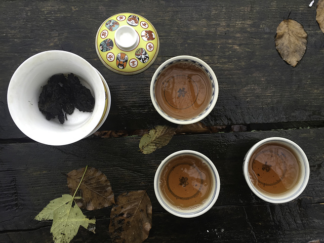 Pu'er tea with friends in the autumn forest