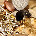 Ingredients for risotto con funghi
