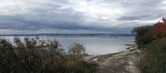 Autumn at Lake Constance